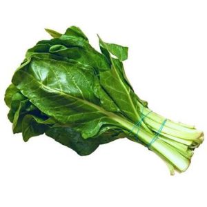 سلق  ( ربطة )
